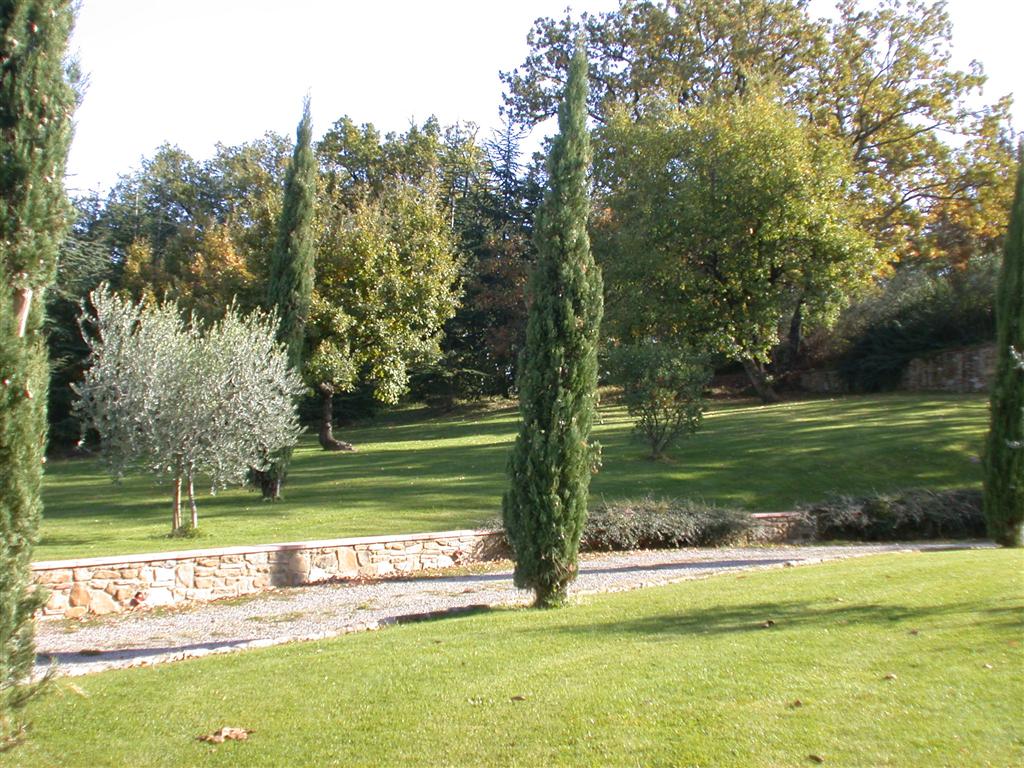 VenditaAziende AgricoleBucine/Ambra